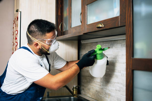 Pest Control for Restaurants in Fernley, NV