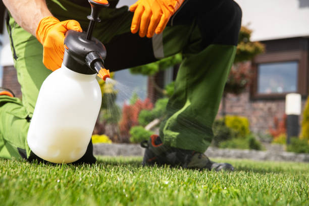 Best Termite Control Services  in Fernley, NV