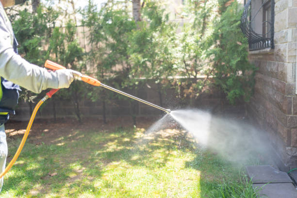 Best Pest Control Near Me in Fernley, NV