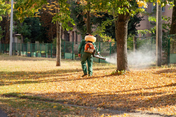 Best Flea Control Services  in Fernley, NV