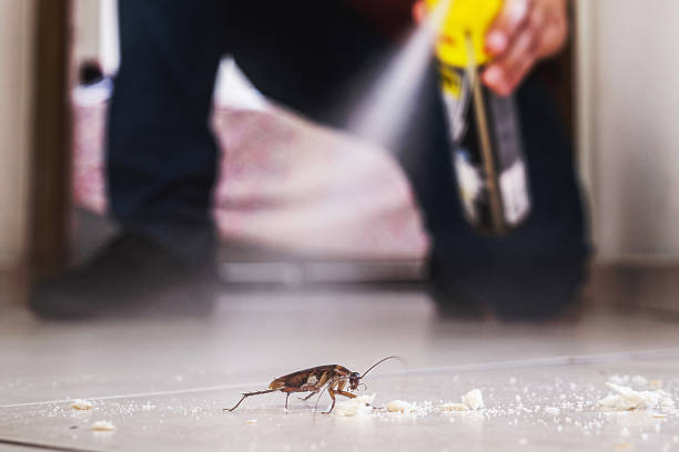 Best Best Pest Control Companies  in Fernley, NV