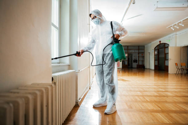 Trusted Fernley, NV Pest Control Experts